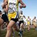 Chelsea High School sophomore Artemis Eyster runs in the beginning leg of the MHSAA Lower Peninsula Division Two race on Saturday. She finished 45th and Chelsea finished 19th. Daniel Brenner I AnnArbor.com